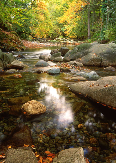 Stream reflection